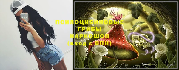 тгк Арсеньев